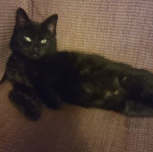 For Suzie Only Trade